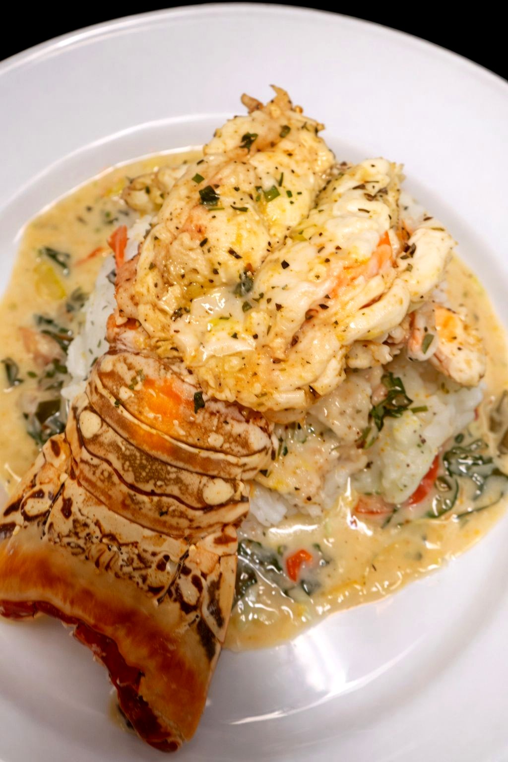 Lobster tail plated over creamy rice with fresh herbs